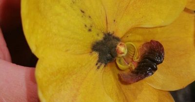 Curso de enfermedades course image