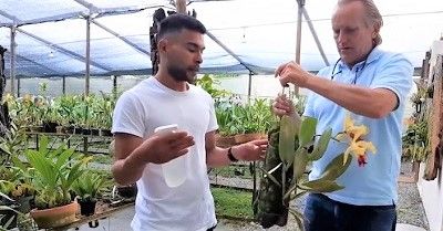 Plan de manejo: fertilización, plagas y enfermedades course image