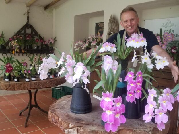 Orquídeas para principiantes course image