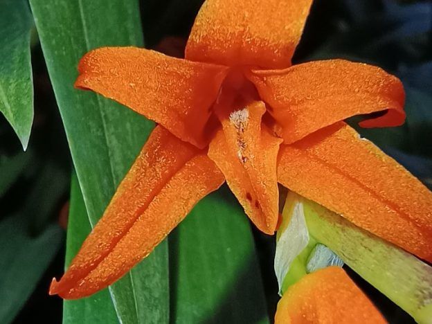 Género Ada course image