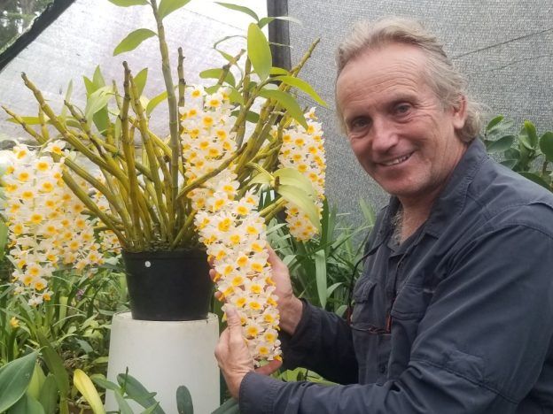 Aprendiendo juntos Clase Presencial course image