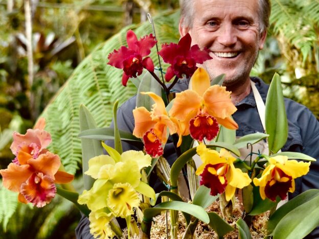 Estructuras de las orquídeas course image