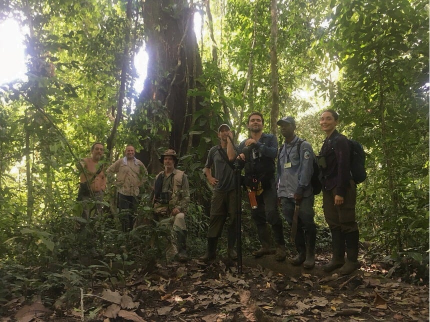 recaudacion orquideas